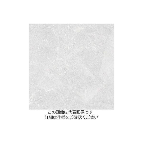 スリーエム ジャパン 3M ダイノックフィルム AEー1637 1220mmX50m AE1637 1巻 104-6793（直送品）