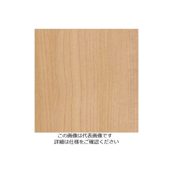 スリーエム ジャパン 3M ダイノックフィルム FWー1262 1220mmX50m FW1262 1巻 103-2601（直送品）