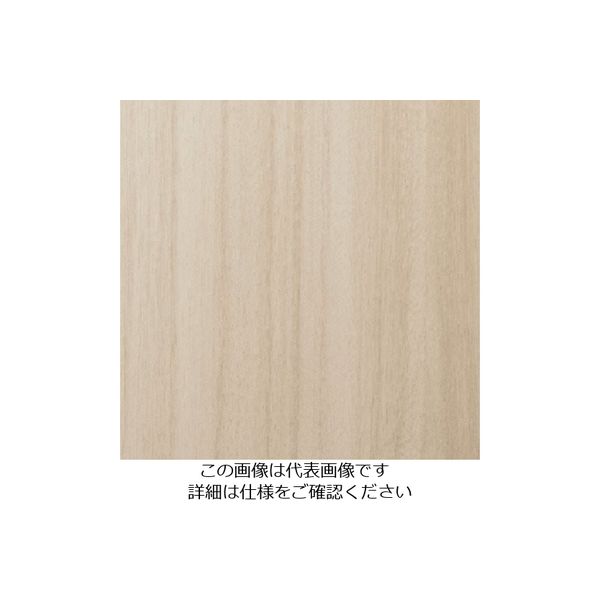 スリーエム ジャパン 3M ダイノックフィルム FWー1207 1220mmX50m FW1207 1巻 103-2621（直送品）