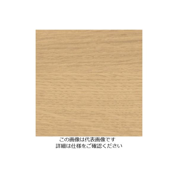 スリーエム ジャパン 3M ダイノックフィルム FWー1130H 1220mmX50m FW1130H 1巻 103-2670（直送品）