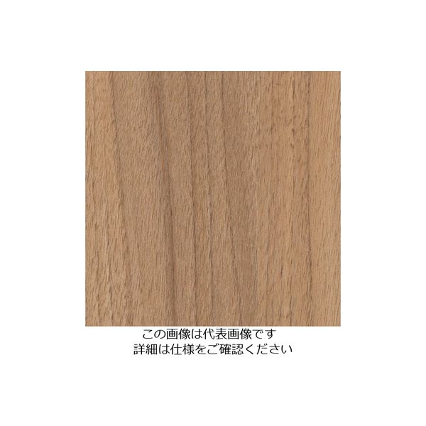 スリーエム ジャパン 3M ダイノックフィルム FWー1023 1220mmX50m FW1023 1巻 103-4207（直送品）