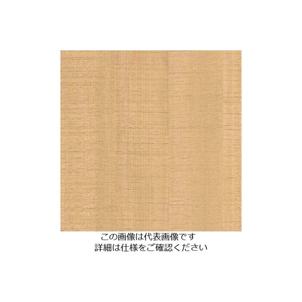 スリーエム ジャパン 3M ダイノックフィルム FWー1211 1220mmX50m FW1211 1巻 103-1113（直送品）