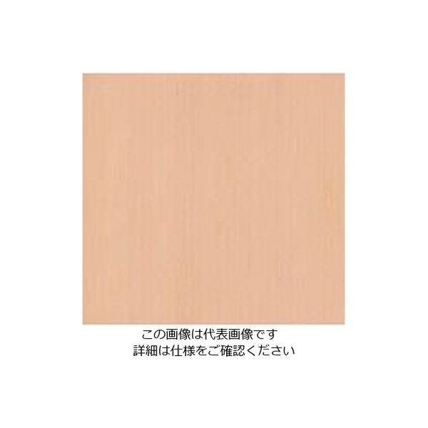 スリーエム ジャパン 3M ダイノックフィルム WGー453 1220mmX50m WG453 1巻 104-5480（直送品）