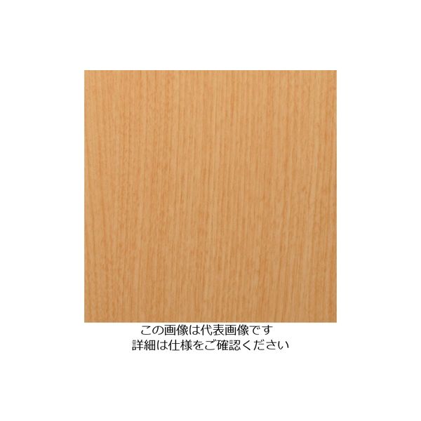 スリーエム ジャパン 3M ダイノックフィルム WGー877 1220mmX50m WG877 1巻 104-5494（直送品）