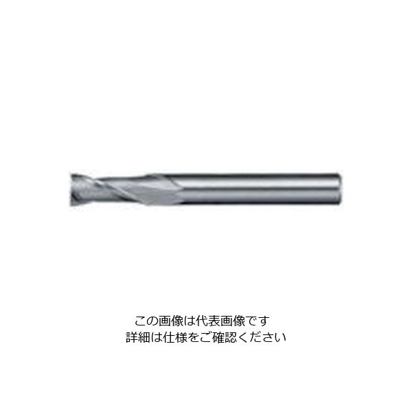 日進工具 NS リード30エンドミル NXー30 φ5 5 1個 729-9460（直送品）