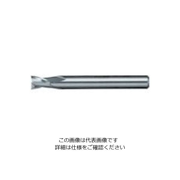 日進工具 NS リード25エンドミル NXー25 φ2.5 2.5 1個 729-9320（直送品）