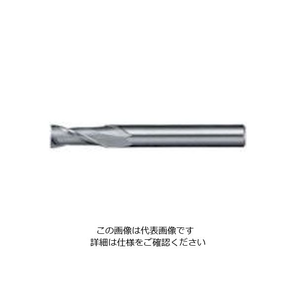 日進工具 NS リード30エンドミル NXー30 φ2 2 1個 729-9427（直送品）
