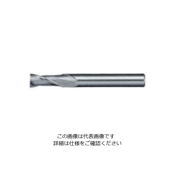 日進工具 NS リード30エンドミル NXー30 φ2.5 2.5 1個 729-9435（直送品）