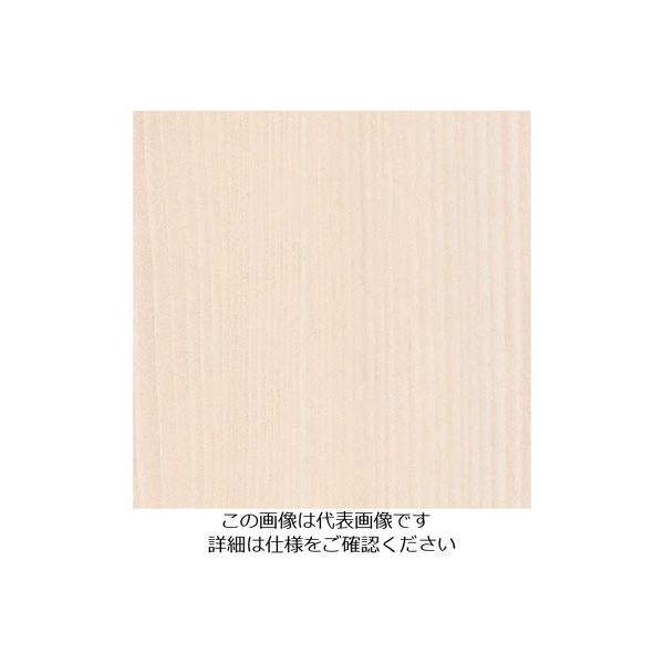 スリーエム ジャパン 3M ダイノックフィルム FWー1138 1220mmX50m FW1138 1巻 103-2697（直送品）