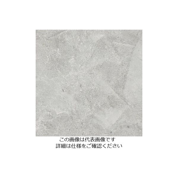 スリーエム ジャパン 3M ダイノックフィルム AEー1638 1220mmX50m AE1638 1巻 103-2684（直送品）