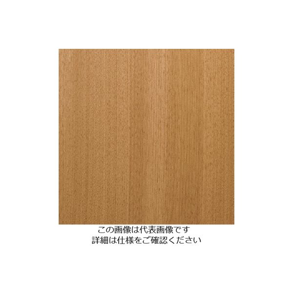 スリーエム ジャパン 3M ダイノックフィルム FWー1283 1220mmX50m FW1283 1巻 103-1085（直送品）