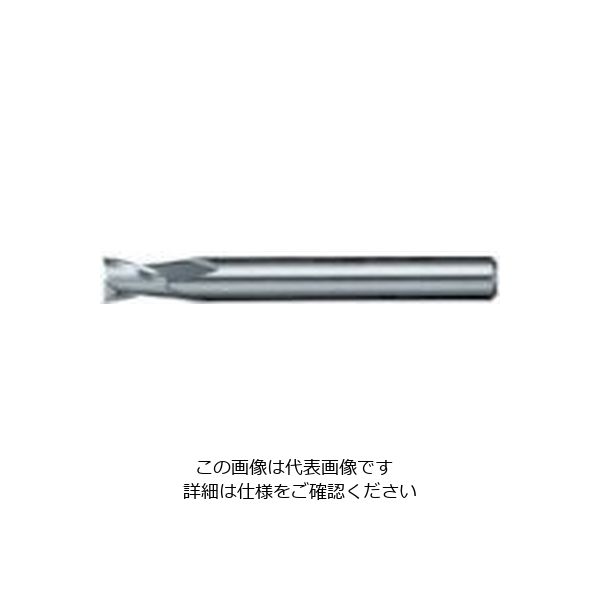 日進工具 NS リード25エンドミル NXー25 φ3 3 1個 729-9338（直送品）