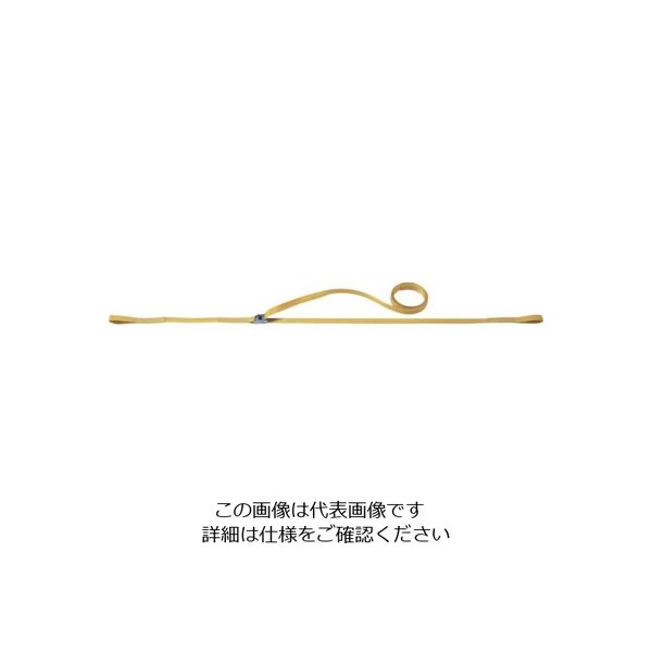 明大 ロックスリング ばく ベルト荷締機 Cー100(0.5mX4m) C-100 1台(1個) 851-9332（直送品）