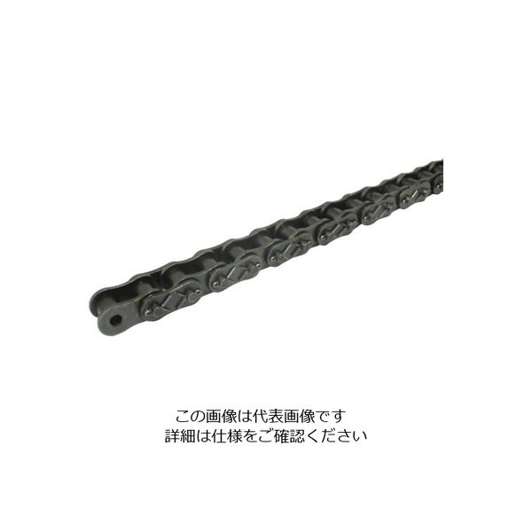 片山チエン カタヤマ HKK SBRーPLUS ローラチェーン(長寿命チェーン) ピッチP:31.75 HKK100-SBRCPT 1本（直送品）