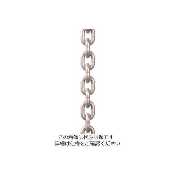 象印チエンブロック 象印 チェーンスリング用チェーン・20mm×1m C10-20 1本 134-7510（直送品）