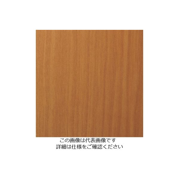 スリーエム ジャパン 3M ダイノックフィルム FWー795 1220mmX50m FW795 1巻 103-2668（直送品）