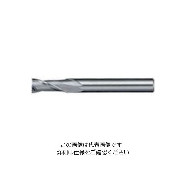 日進工具 NS リード30エンドミル NXー30 φ4 4 1個 729-9451（直送品）