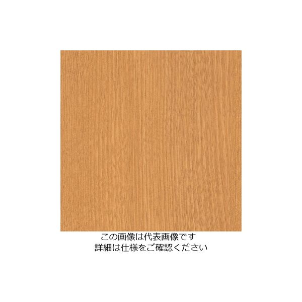 スリーエム ジャパン 3M ダイノックフィルム FWー234 1220mmX50m FW234 1巻 104-6775（直送品）