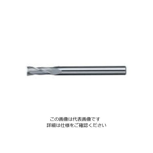 日進工具 NS 銅電極・アルミ・プラ用2枚刃EM Φ1 DX 1 1個 729-2066（直送品）