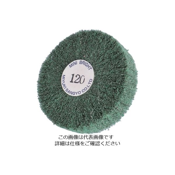 ミユキ産業 ミユキ ブライトミニ 100X25X6 120# BM100251-120 1セット(5個) 828-4480（直送品）