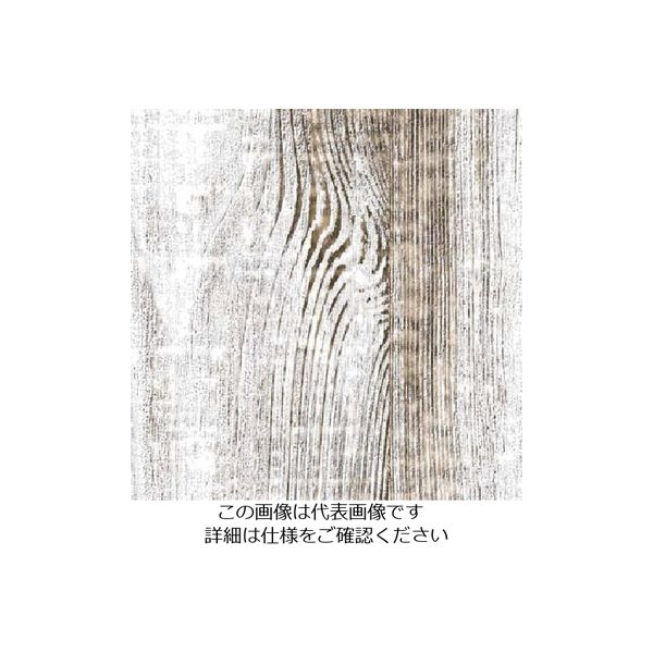 スリーエム ジャパン 3M ダイノックフィルム FWー1307 1220mmX50m FW1307 1巻 103-2609（直送品）