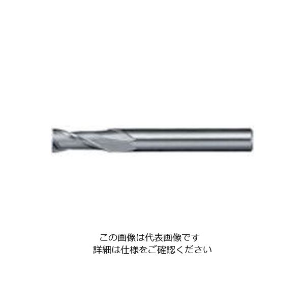 日進工具 NS リード30エンドミル NXー30 φ1 1 1個 729-9389（直送品）