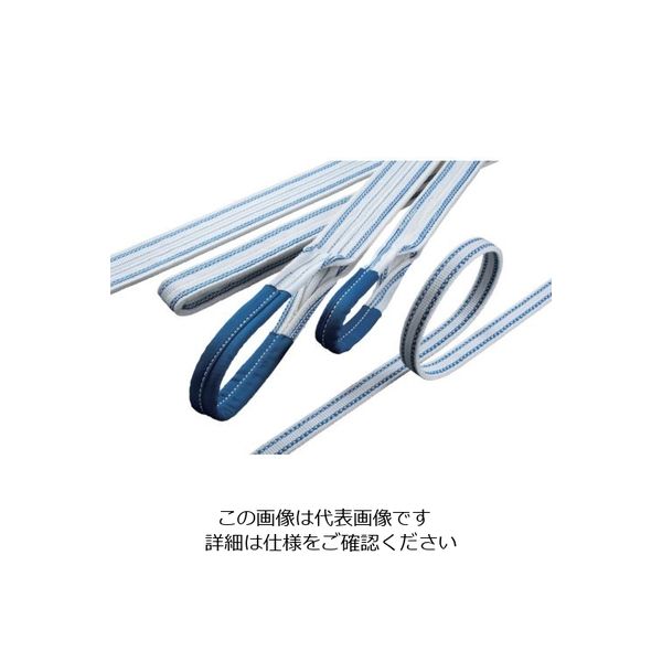 明大 ロックスリング エステル 75mm×2.75m（エンドレス形） B-2 75X2.75 1本 851-7333（直送品）