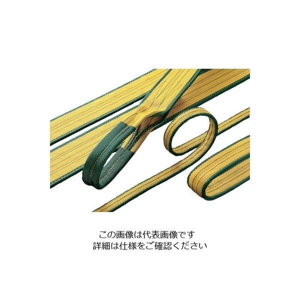 明大 ロックスリング シグマ 25mm×6.0m（両端アイ形） A-1 25X6.0 1本 851-6822（直送品）