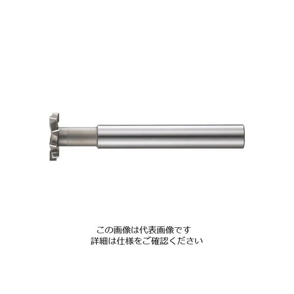 フクダ精工 FKD ロングシャンク千鳥刃Tスロットカッター35×17 LS-STC-35X17 1本 810-2197（直送品）