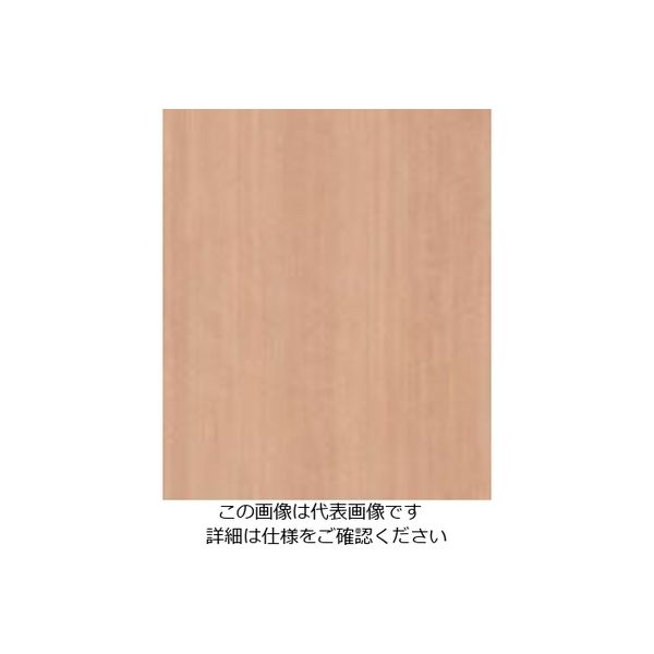 スリーエム ジャパン 3M ダイノックフィルム WGー1143 1220mmX50m WG1143 1巻 104-2388（直送品）