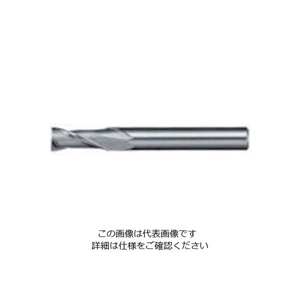 日進工具 NS リード30エンドミル NXー30 φ3 3 1個 729-9443（直送品）