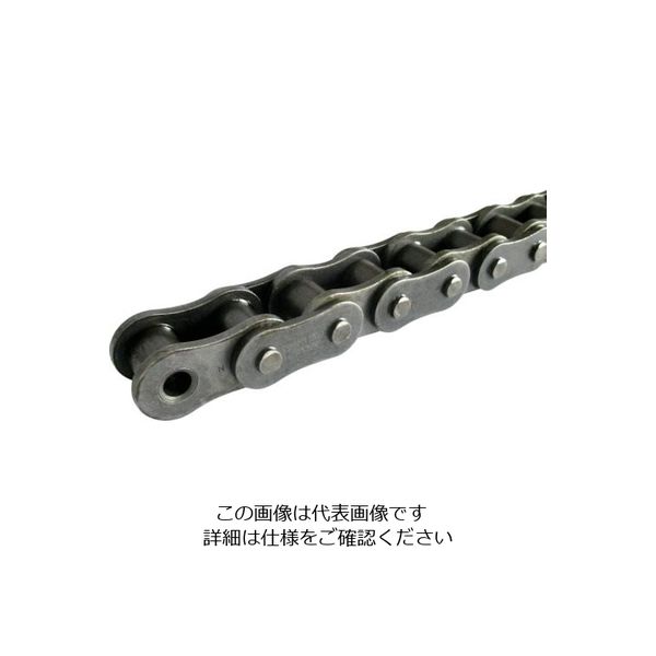 片山チエン カタヤマ HKK SBRーPLUS ローラチェーン(長寿命チェーン) ピッチP:31.75 HKK100-SBRRPT 1本（直送品）