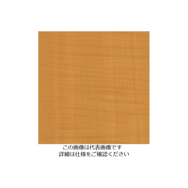 スリーエム ジャパン 3M ダイノックフィルム WGー709 1220mmX50m WG709 1巻 104-2404（直送品）