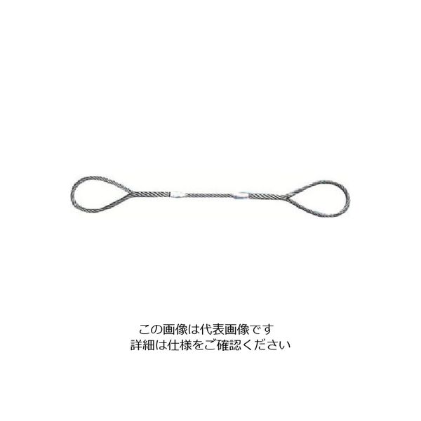 日興製綱 NIKKO Wスリング(裸) 全長6.0m スリング径9mm W9-6H 1セット(10本) 815-7422（直送品）