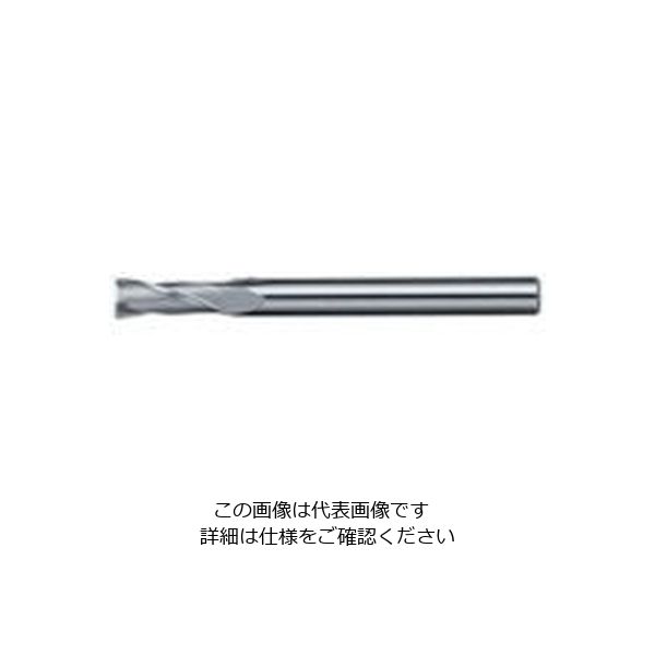 日進工具 NS 銅電極・アルミ・プラ用2枚刃EM Φ0.5 DX 0.5 1個 729-2040（直送品）