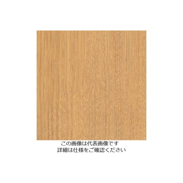 スリーエム ジャパン 3M ダイノックフィルム FWー1810 1220mmX50m FW1810 1巻 104-8389（直送品）