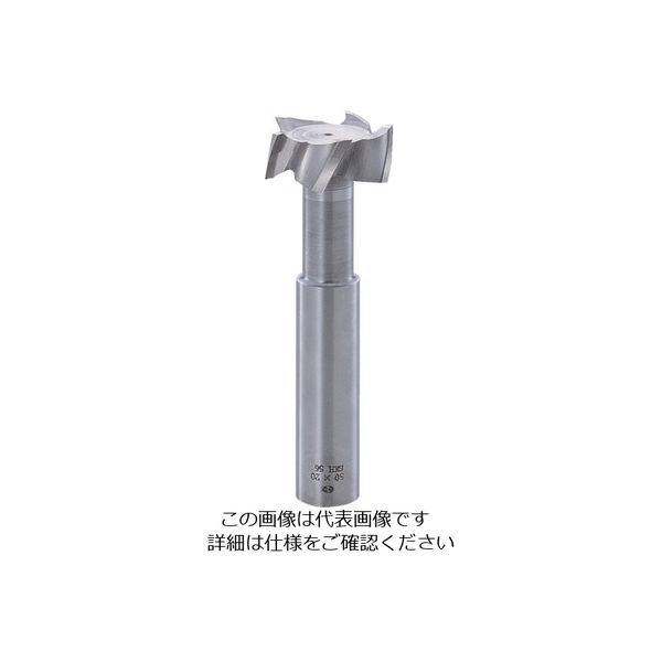 フクダ精工 FKD Tスロットエンドミル50×25 TSE50X25 1本 809-6226（直送品）