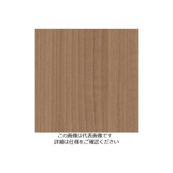 スリーエム ジャパン 3M ダイノックフィルム WGー1848 1220mmX50m WG1848 1巻 104-5571（直送品）