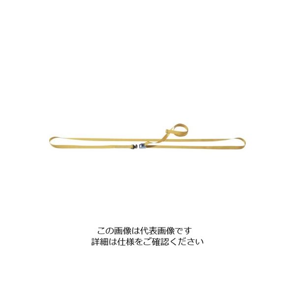 明大 ロックスリング ばく ベルト荷締機 Cー100RFF 4m C-100RFF 1台(1個) 851-9335（直送品）