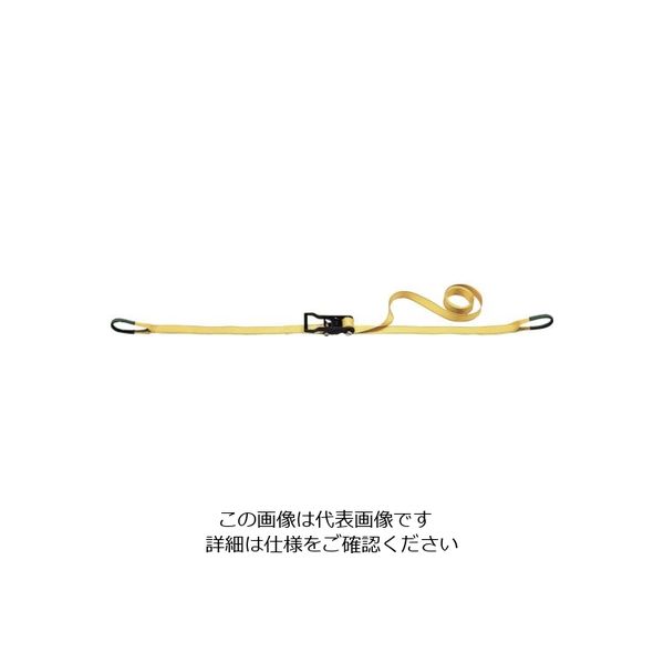明大 ロックスリング ばく ベルト荷締機 L-250（1mX5m） L-250 1個 851-9548（直送品）