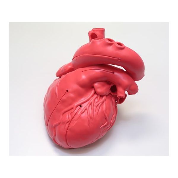 島津理化 心臓シミュレータ XC-03T 1個 62-9217-81（直送品）