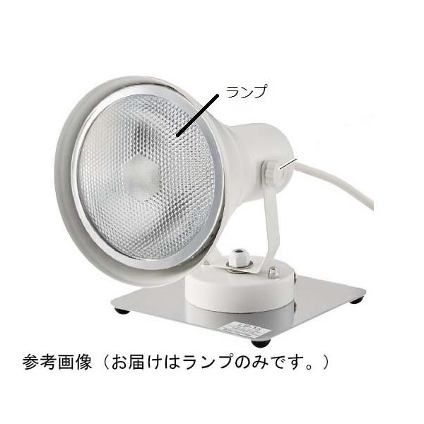 島津理化 光電池実験LBー15用ランプ 191507 1台 67-7093-21（直送品）