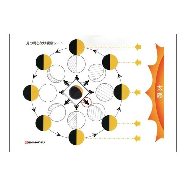 島津理化 月の満ち欠け観察器 MEー100 146-150 1台 67-7097-94（直送品）