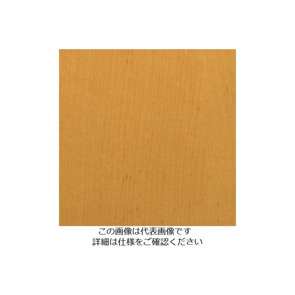 スリーエム ジャパン 3M ダイノックフィルム WGー831 1220mmX50m WG831 1巻 104-3934（直送品）