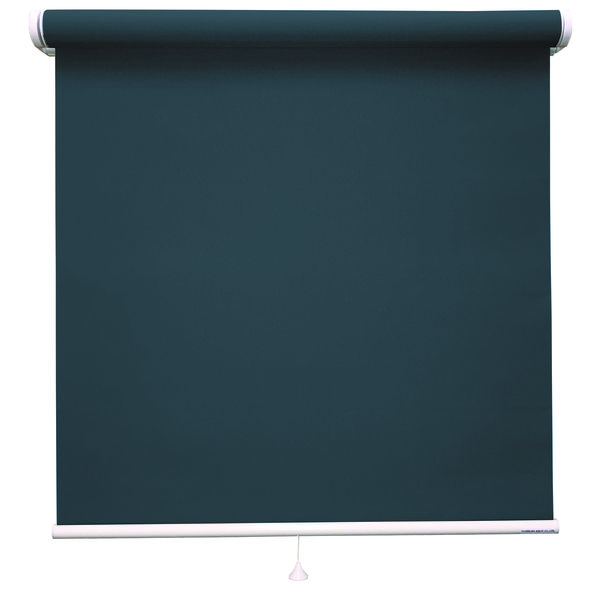 立川機工 ロールスクリーン 無地 TR-1030 140×30cm ネイビー 1台（直送品） 11,047円