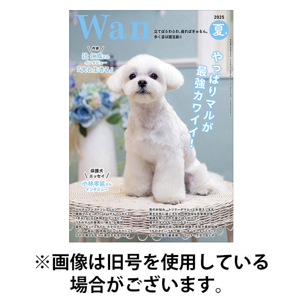wan（わん） 2025/12/12発売号から1年(4冊)(雑誌)（直送品）