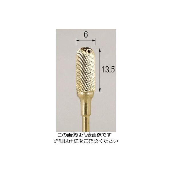 アルゴファイルジャパン アルゴファイル 超硬カッターチタンコートEFクロスカットカーバイドバー CTF2006 1本 203-4320（直送品）