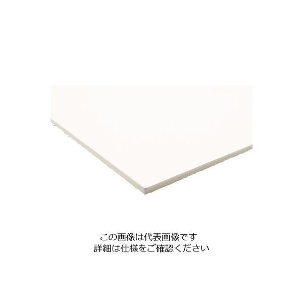 アクリサンデー 発泡スチレンボード HS-SS100A3-5 1セット(5枚) 197-3119（直送品）