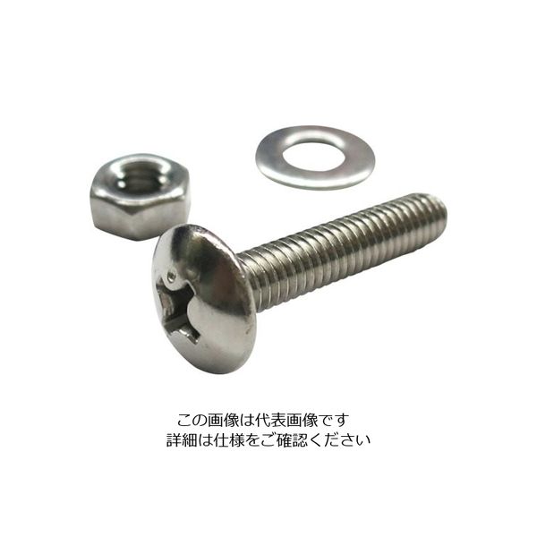 ダイドーハント HP ステンレス小ネジ トラス 6×8 2本入 10184314 1セット(10本:2本×5パック) 117-7774（直送品）