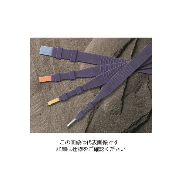 アルゴファイルジャパン（ARGOFILE） アルゴファイル ニュースーパーストーンホルダー SSH-3 1本 214-6582（直送品）